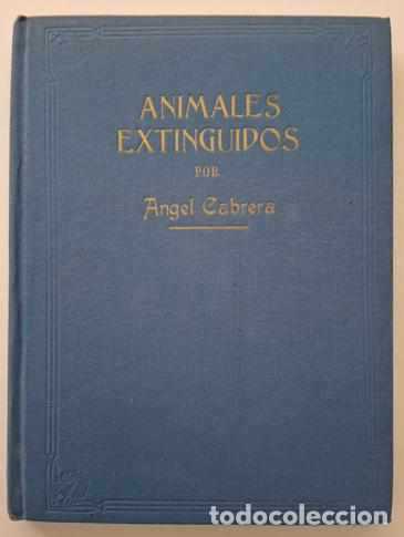 Libros de segunda mano: ANIMALES EXTINGUIDOS, por Angel Cabrera