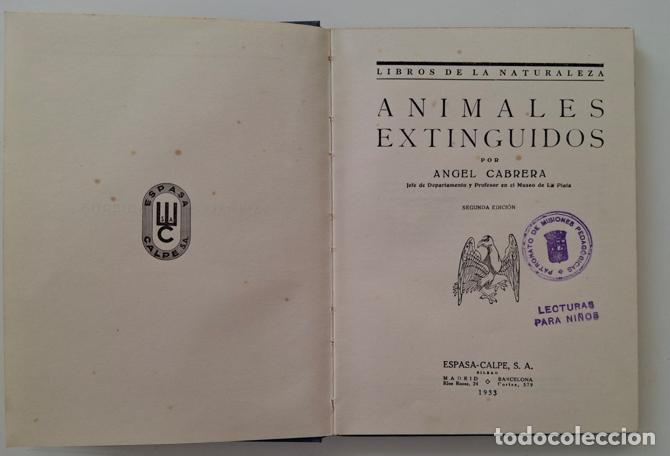 Libros de segunda mano: ANIMALES EXTINGUIDOS, por Angel Cabrera - Foto 2