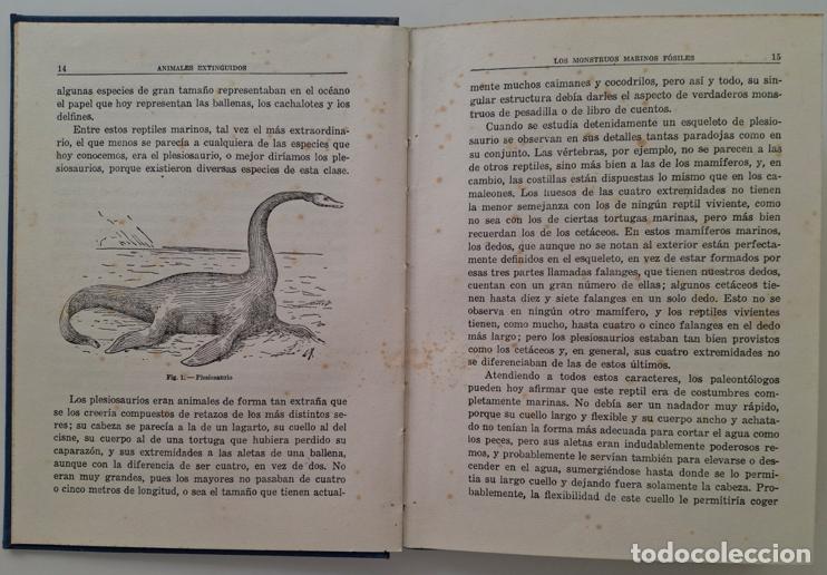 Libros de segunda mano: ANIMALES EXTINGUIDOS, por Angel Cabrera - Foto 3