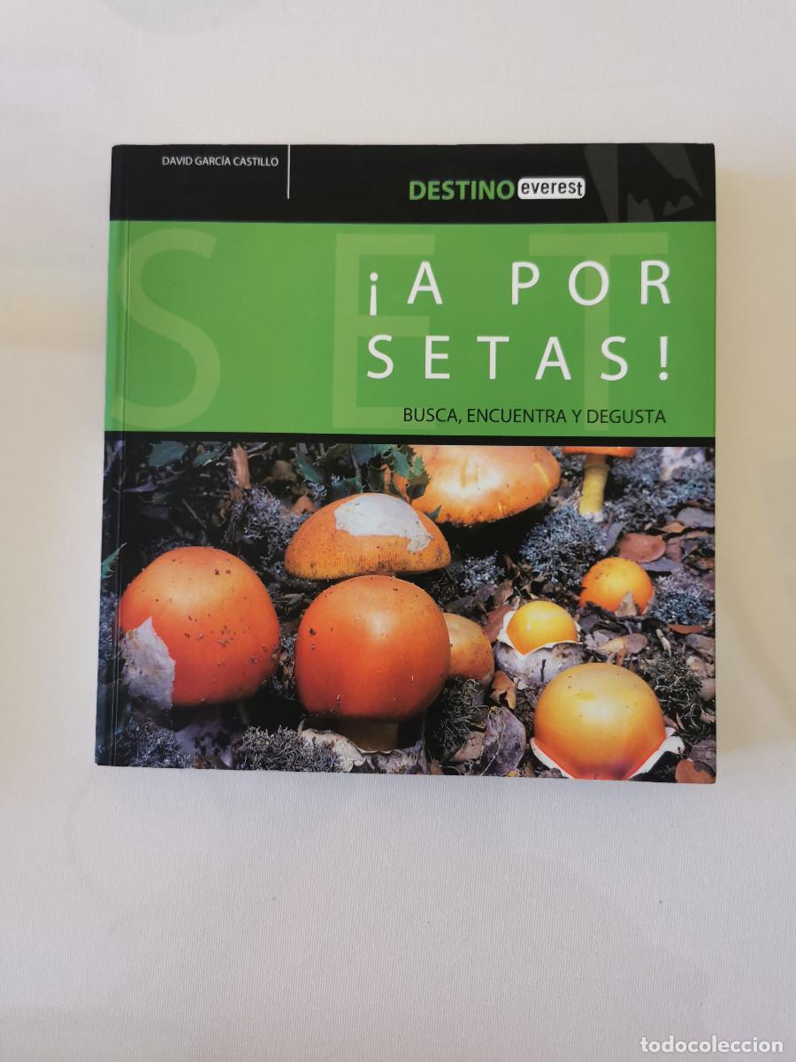 Libros de segunda mano: A por setas. David Garc&iacute;a Castillo BUSCA, ENCUENTRA Y DEGUSTA -
