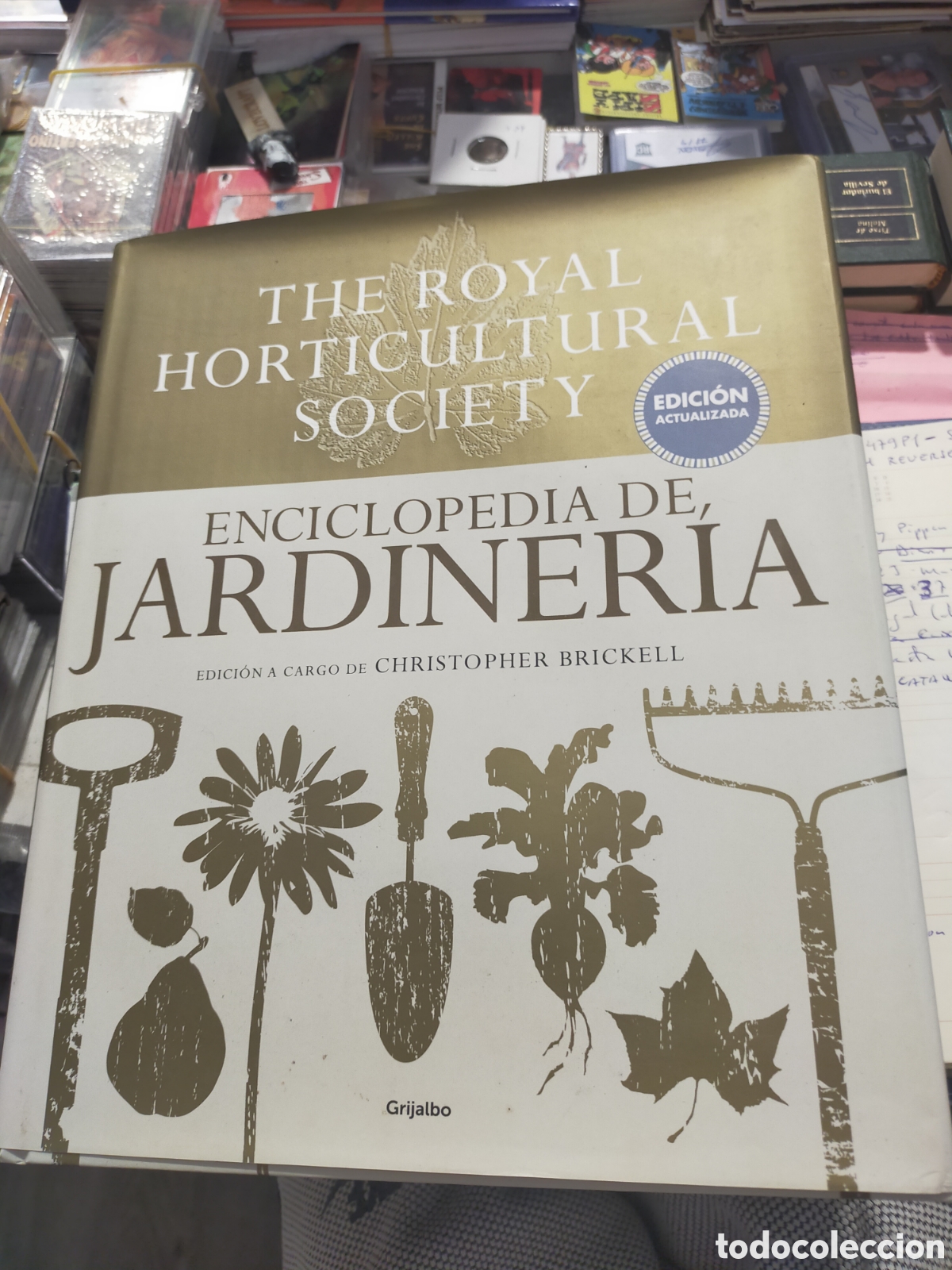 Libros de segunda mano: ENCICLOPEDIA DE JARDINER&Iacute;A THE ROYAL HORTICULTURAL SOCIETY CHRISTOPHER BRICKELL
