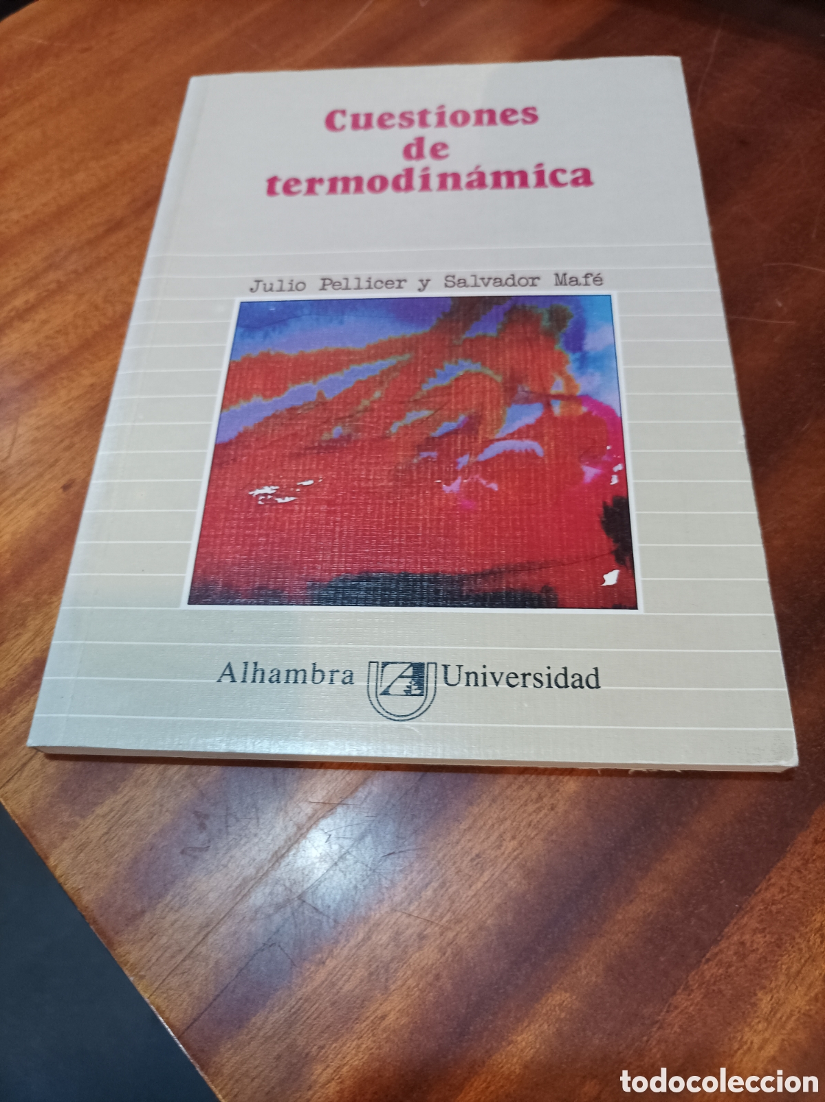 Libros de segunda mano de Ciencias: CUESTIONES DE TERMODIN&Aacute;MICA.JULIO PALLICER/SALVADOR MAFE