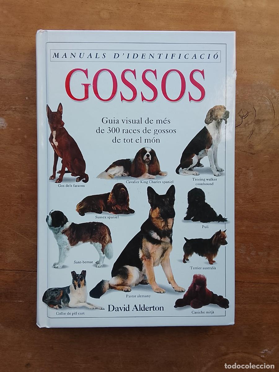 Libros de segunda mano: Gossos guia visual de mes de 300 races de gossos de tot el mon
