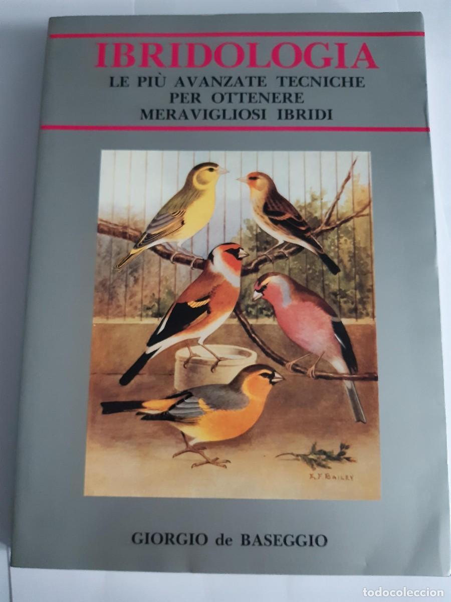 Libros de segunda mano: HIBRIDOLOG&Iacute;A ORNITOLOGIA GIORGIO DE BASEGGIO LIBRO EN ITALIANO CANARIO HIBRIDO