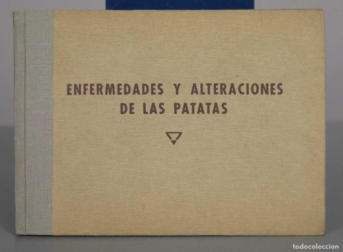 Libros de segunda mano: Enfermedades y alteraciones de las patatas - Jos&eacute; del Ca&ntilde;izo, Juan R. Sardina