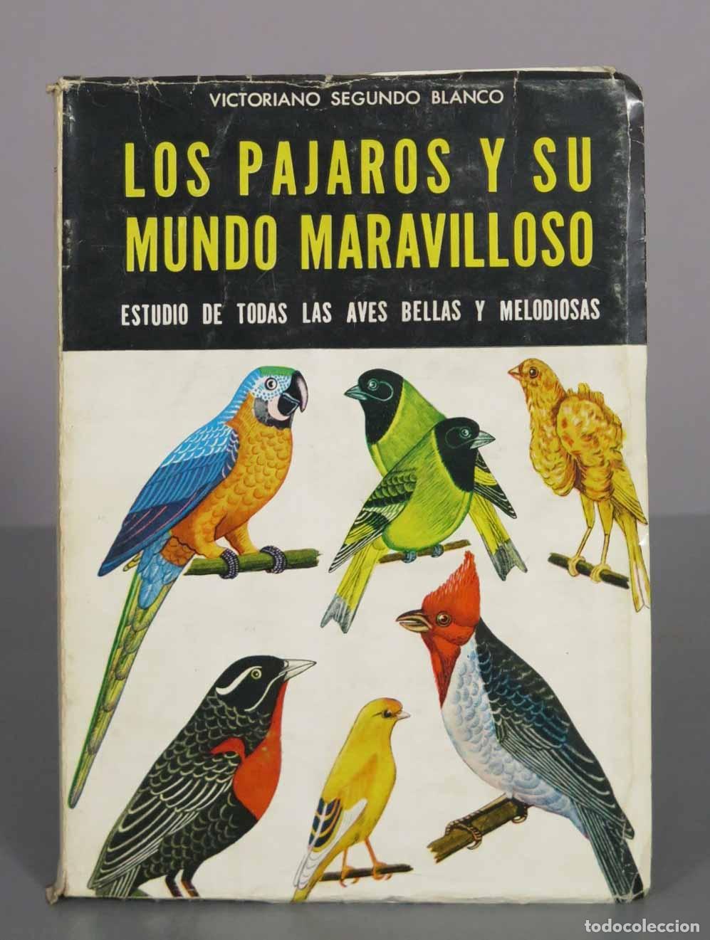 Libros de segunda mano: Los p&aacute;jaros y su mundo maravilloso - Victoriano Segundo Blanco - Editorial Cosmopolita