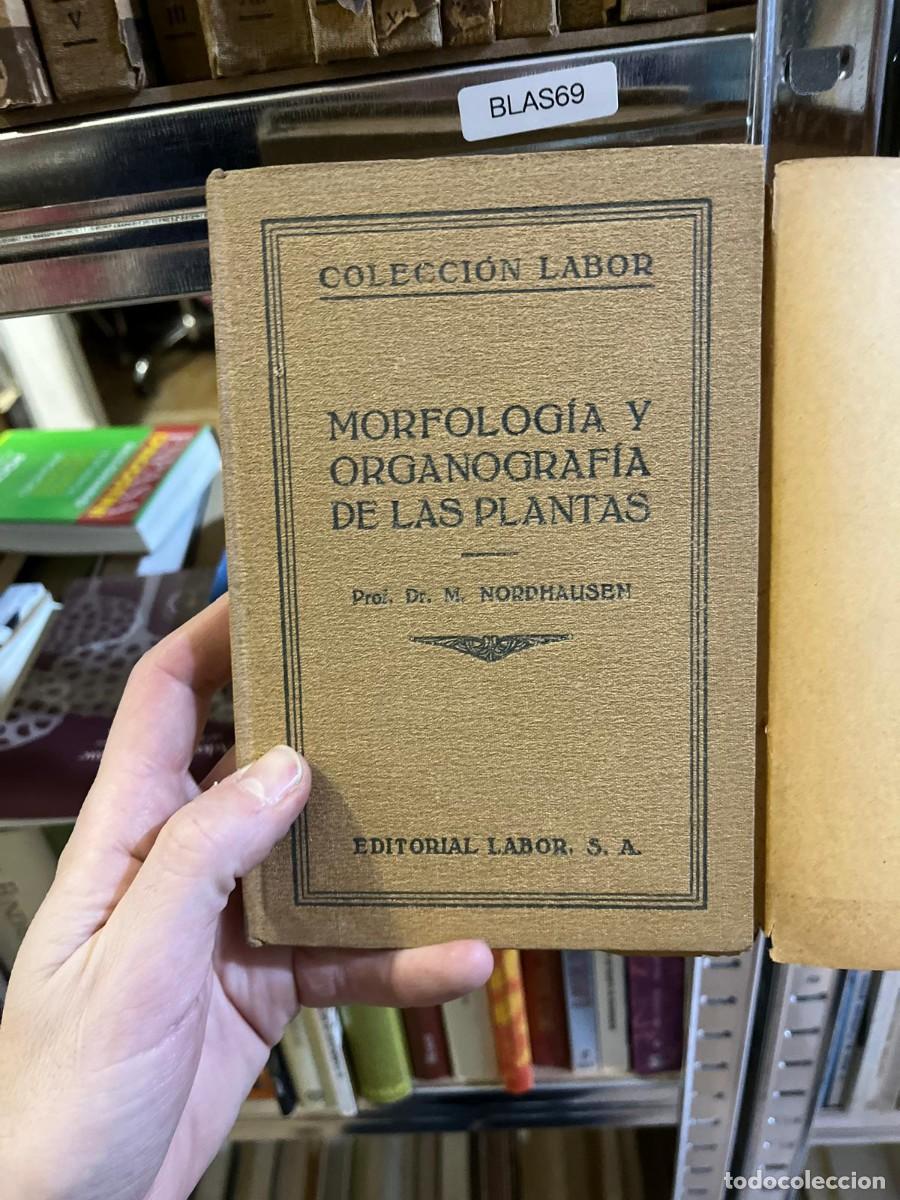 Libros de segunda mano: BLAS69 &ndash; Morfolog&iacute;a y organograf&iacute;a de las plantas &ndash; Prof. Dr. M. Nordhausen &ndash; Editorial Labor (Colec