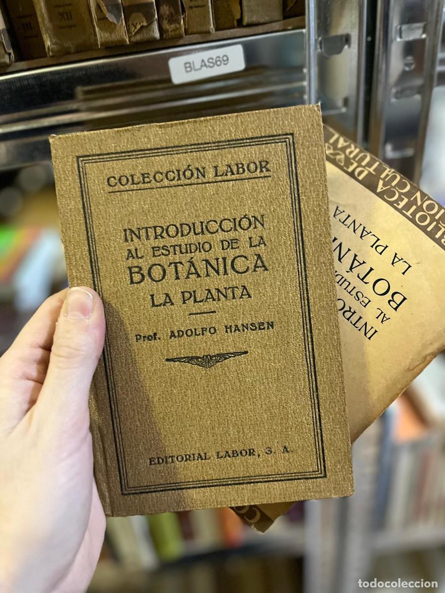 Libros de segunda mano: BLAS69 &ndash; Introducci&oacute;n al estudio de la Bot&aacute;nica: La planta &ndash; Prof. Adolfo Hansen &ndash; Editorial Labor (