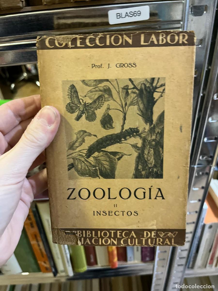 Libros de segunda mano: BLAS69 &ndash; Zoolog&iacute;a II: Insectos &ndash; Prof. J. Gross &ndash; Editorial Labor (Biblioteca de Iniciaci&oacute;n Cultural
