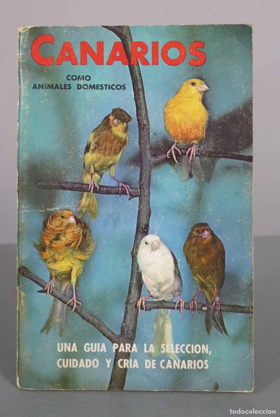 Libros de segunda mano: Canarios como animales dom&eacute;sticos: Una gu&iacute;a para la selecci&oacute;n, cuidado y cr&iacute;a de canarios - Evelyn M