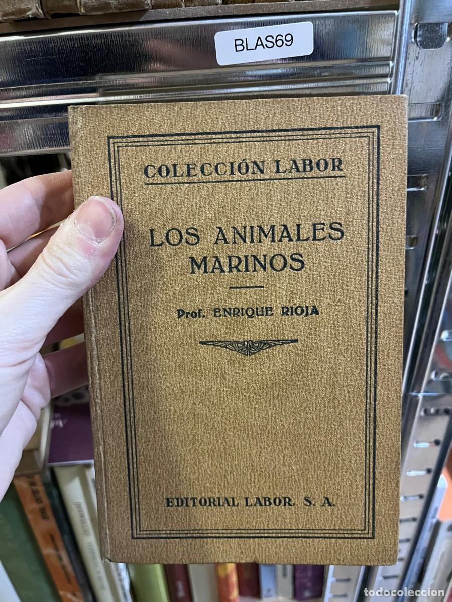 Libros de segunda mano: BLAS69 &ndash; Los animales marinos &ndash; Prof. Enrique Rioja &ndash; Editorial Labor (Colecci&oacute;n Labor)