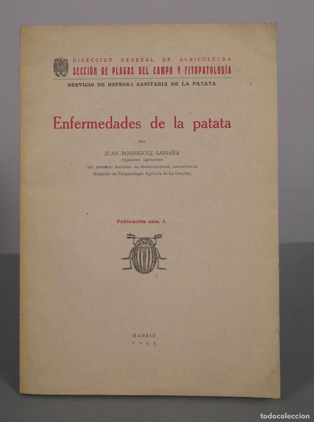 Livres d'occasion: Enfermedades de la patata - Juan Rodr&iacute;guez Sardi&ntilde;a - Direcci&oacute;n General de Agricultura