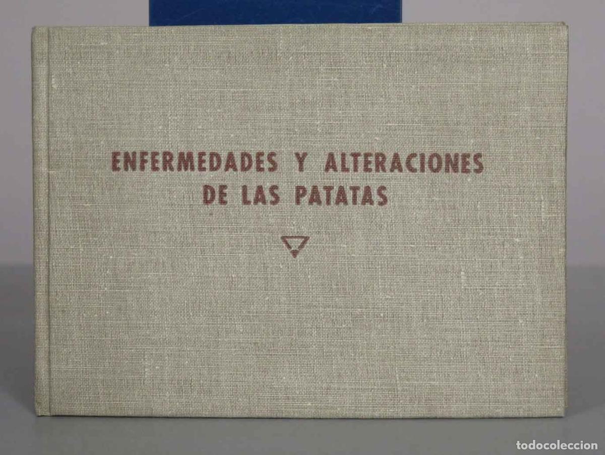 Gebrauchte B&uuml;cher: Enfermedades y alteraciones de las patatas - Jos&eacute; del Ca&ntilde;izo, Juan R. Sardi&ntilde;a - Estaci&oacute;n Central de
