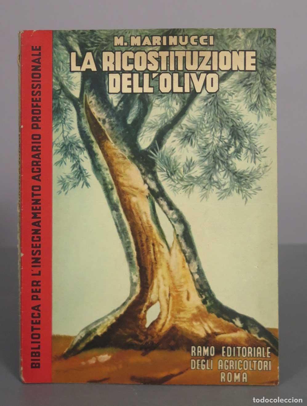 Gebrauchte B&uuml;cher: La ricostituzione dell&acute;olivo - M. Marinucci - Ramo Editoriale degli Agricoltori