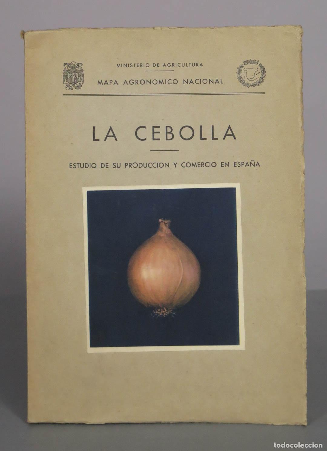 Libros de segunda mano: La cebolla: Estudio de su producci&oacute;n y comercio en Espa&ntilde;a - Ministerio de Agricultura