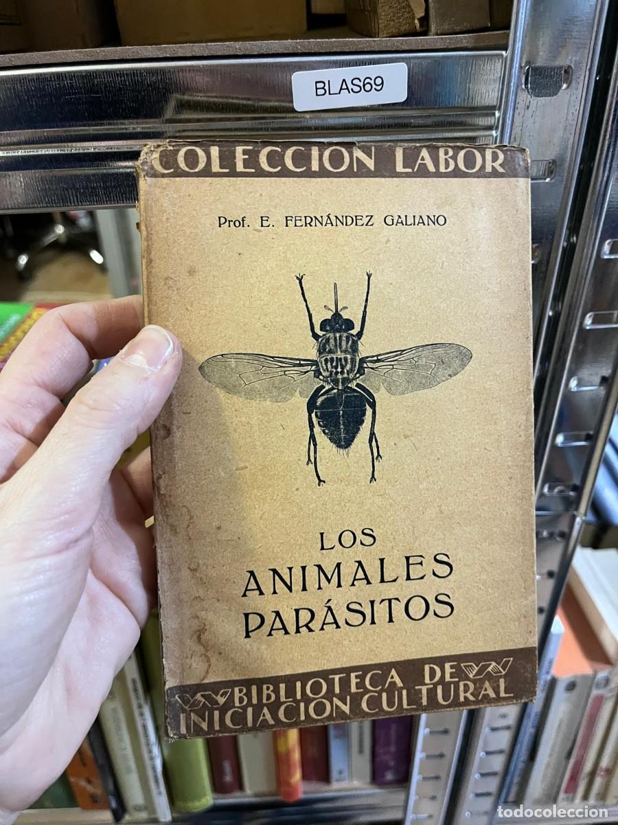Libros de segunda mano: BLAS69 &ndash; Los Animales Par&aacute;sitos &ndash; Prof. E. Fern&aacute;ndez Galiano &ndash; Editorial Labor