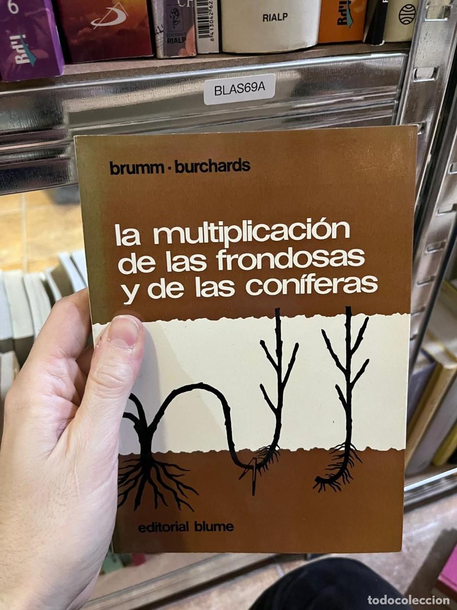 Libros de segunda mano: BLAS69A brumm - burchards la multiplicaci&oacute;n de las frondosas y de las con&iacute;feras