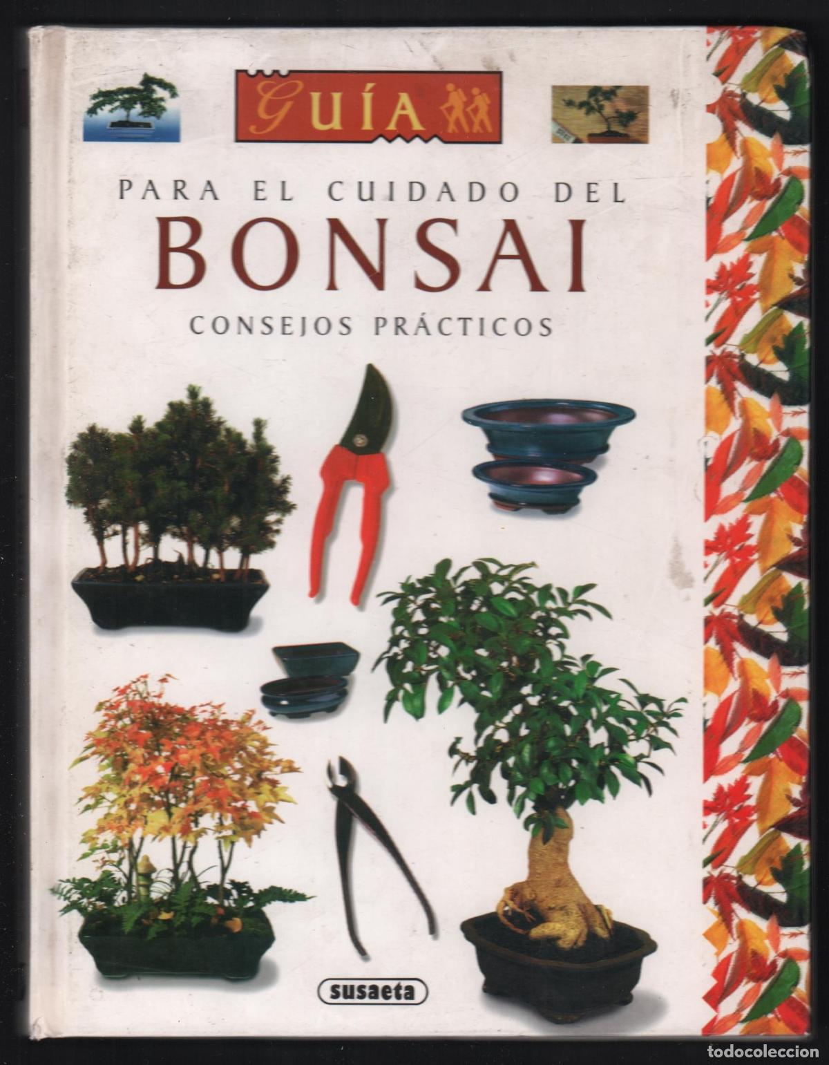 Libros de segunda mano: GUIA PARA EL CUIDADO DEL BONSAI CONSEJOS PR&Aacute;CTICOS ED SUSAETA 1994 1&ordf; EDICI&Oacute;N I.S.BN 84-305-7450-6