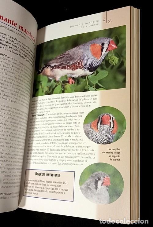 Libros de segunda mano: �M3136 - AVES DE JAULA Y PAJARERA. - Foto 3