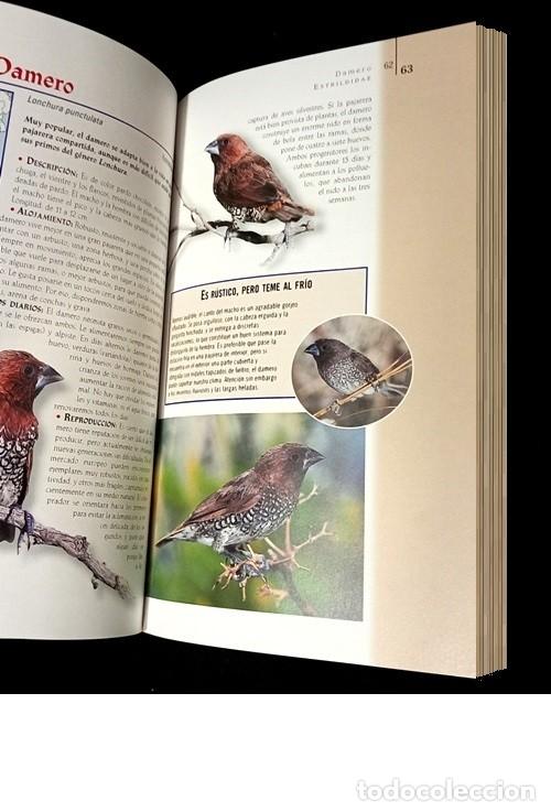 Libros de segunda mano: �M3136 - AVES DE JAULA Y PAJARERA. - Foto 4