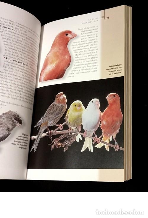 Libros de segunda mano: �M3136 - AVES DE JAULA Y PAJARERA. - Foto 5