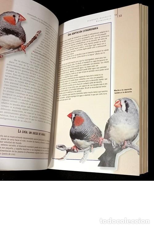 Libros de segunda mano: �M3136 - AVES DE JAULA Y PAJARERA. - Foto 7