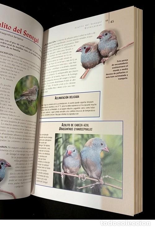 Libros de segunda mano: �M3136 - AVES DE JAULA Y PAJARERA. - Foto 8