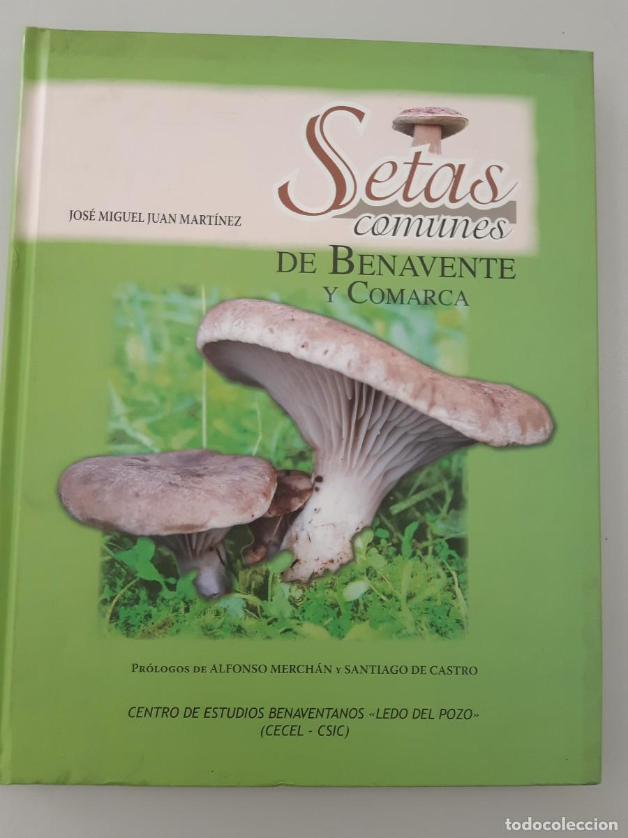 Libros de segunda mano: Setas comunes de Benavente y comarca micolog&iacute;a Jos&eacute; Miguel Juan Mart&iacute;nez