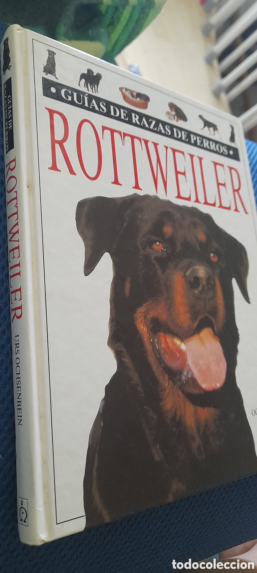 Libros de segunda mano: Rottweiler. Gu&iacute;as de razas de perros - Foto 3