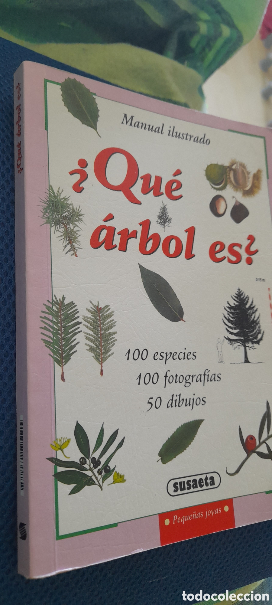 Libros de segunda mano: Que &aacute;rbol es? Manual ilustrado - Foto 3
