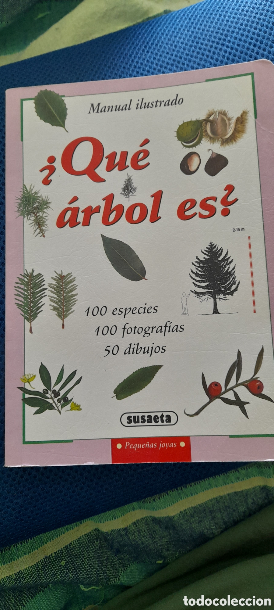 Libros de segunda mano: Que &aacute;rbol es? Manual ilustrado