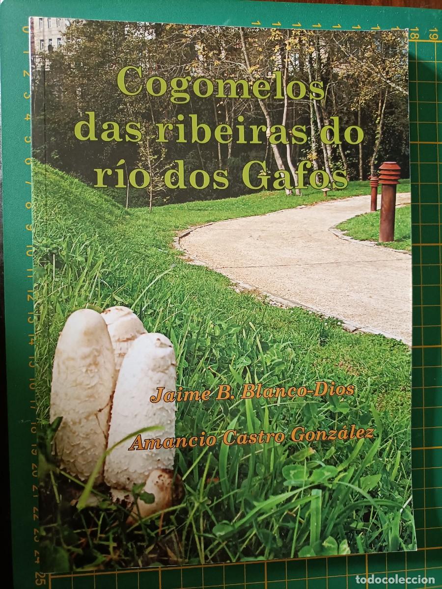 Libros de segunda mano: COGOMELOS DAS RIBEIRAS DO R&Iacute;O DOS GAFOS. VV.AA. - VAIPOLORIO, 2021