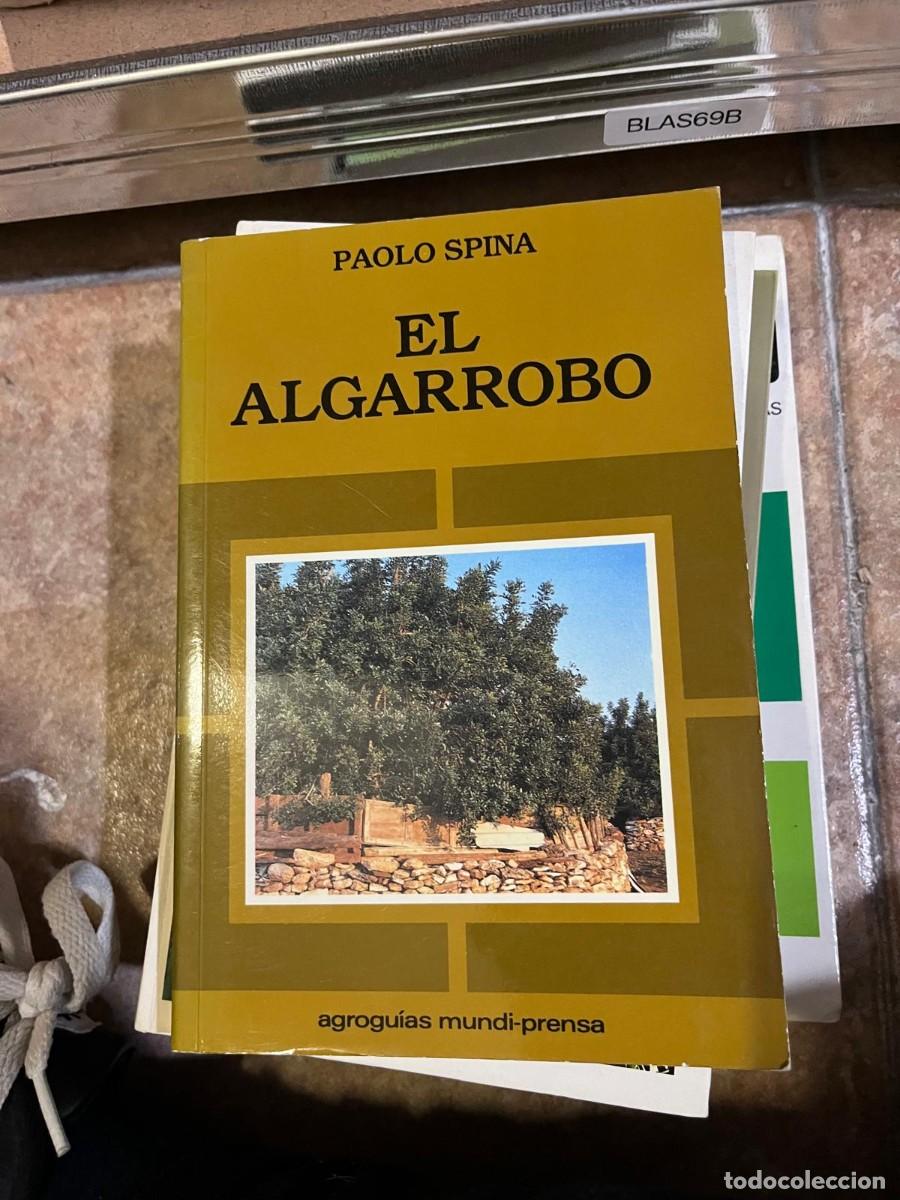 Libros de segunda mano: BLAS69B + El Algarrobo &mdash; Paolo Spina &mdash; Agroguias Mundi-Prensa