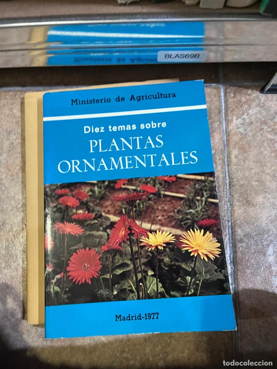 Libros de segunda mano: BLAS69B + Diez temas sobre plantas ornamentales &mdash; Ministerio de Agricultura &mdash; Madrid 1977 &mdash;