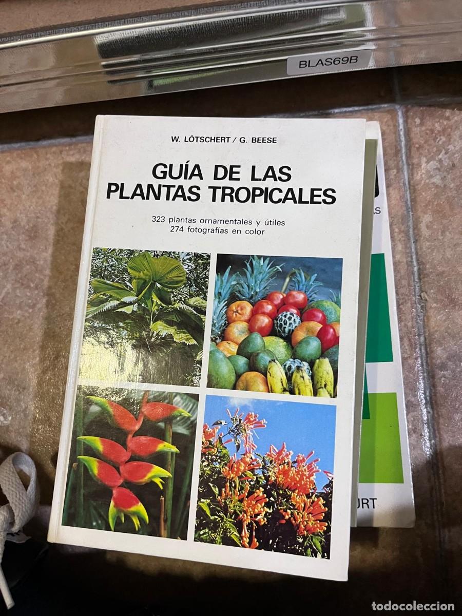 Libros de segunda mano: BLAS69B + Gu&iacute;a de las plantas tropicales &mdash; W. L&ouml;tschert / G. Beese &mdash;