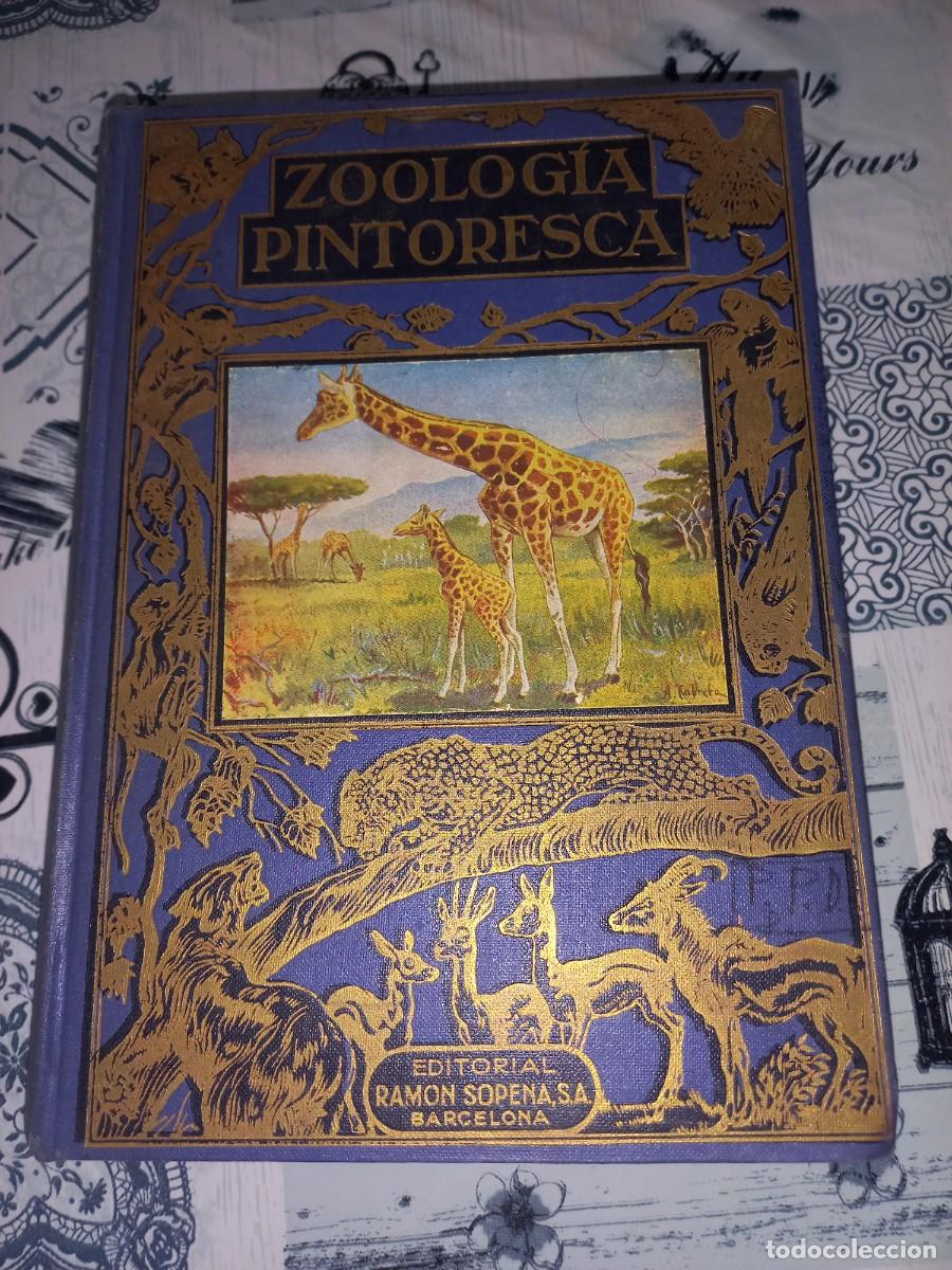 Libros de segunda mano: ZOOLOG&Iacute;A PINTORESCA. &Aacute;NGEL CABRERA. ED. SOPENA. 1956