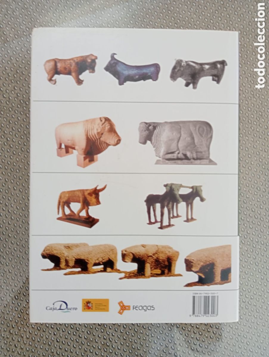 Libros de segunda mano: Razas ganaderas espa&ntilde;olas Bovinas /Antonio S&aacute;nchez Belda - Foto 3