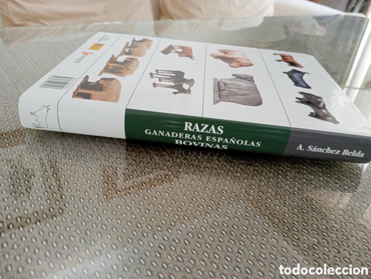 Libros de segunda mano: Razas ganaderas espa&ntilde;olas Bovinas /Antonio S&aacute;nchez Belda - Foto 6