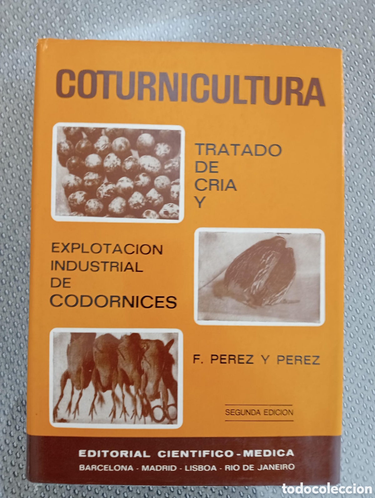 Livres d'occasion: Coturnicultura: tratado de cr&iacute;a y explotaci&oacute;n industrial de codornices / Felix P&eacute;rez y P&eacute;rez