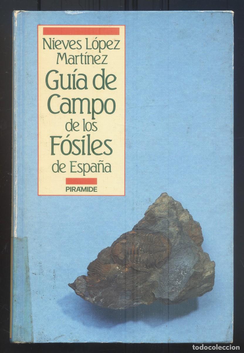 Libros de segunda mano: NUMULITE L1663 Gu&iacute;a de campo de los f&oacute;siles de Espa&ntilde;a Nieves L&oacute;pez Mart&iacute;nez Pir&aacute;mide (pegatina/celo