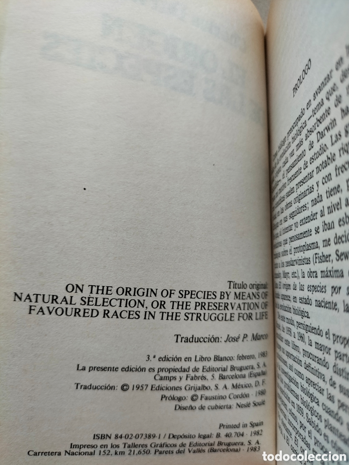 Libros de segunda mano: El origen de las especies. Charles Darwin. Libro blanco. Editorial bruguera, 1983. Libro - Foto 3