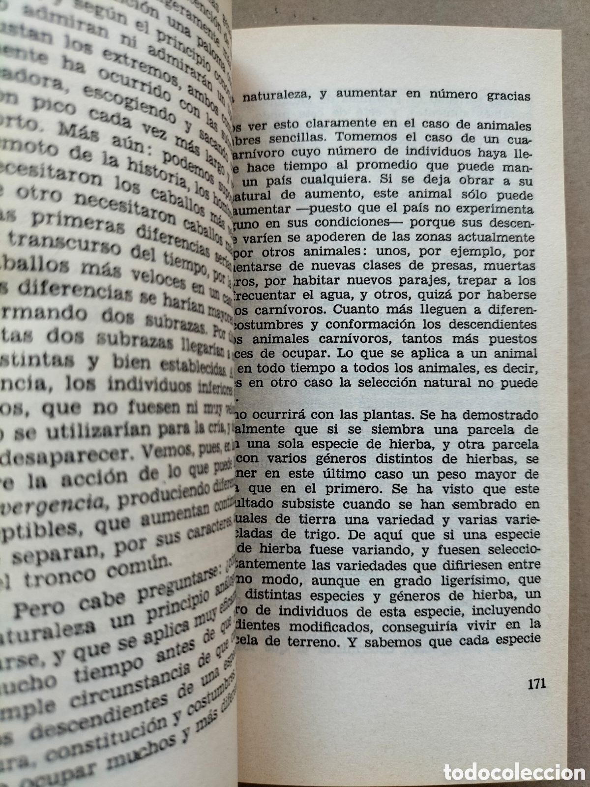 Libros de segunda mano: El origen de las especies. Charles Darwin. Libro blanco. Editorial bruguera, 1983. Libro - Foto 4