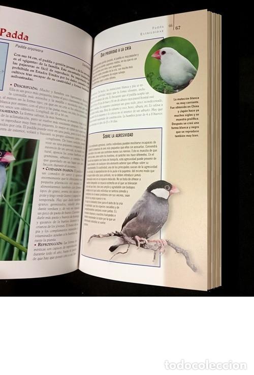 Libros de segunda mano: AVES DE JAULA Y PAJARERA. - Foto 5