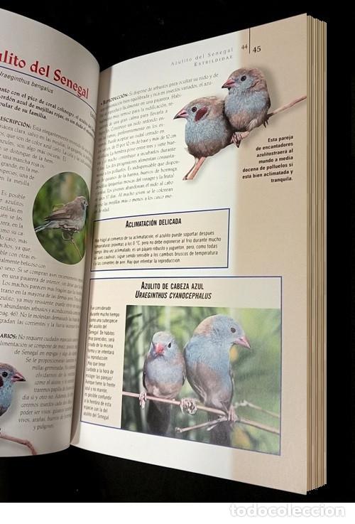 Libros de segunda mano: AVES DE JAULA Y PAJARERA. - Foto 7