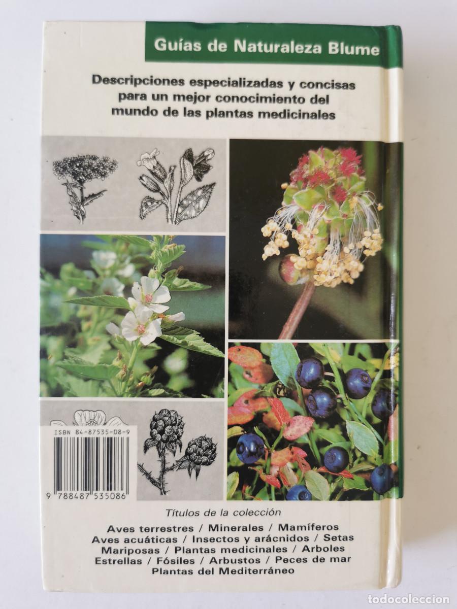 Libros de segunda mano: Plantas medicinales, bayas, verduras silvestres. J&uuml;rke Grau| Reinhard Jung| Bertram M&uuml;nker Blume