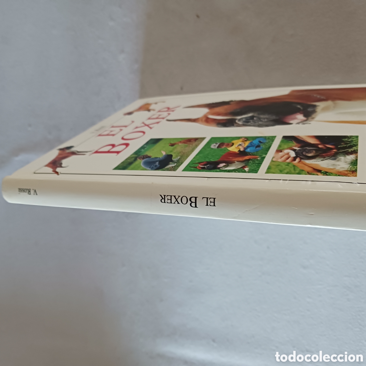 Libros de segunda mano: El B&oacute;xer de V.Rossi (la raza) - Foto 2