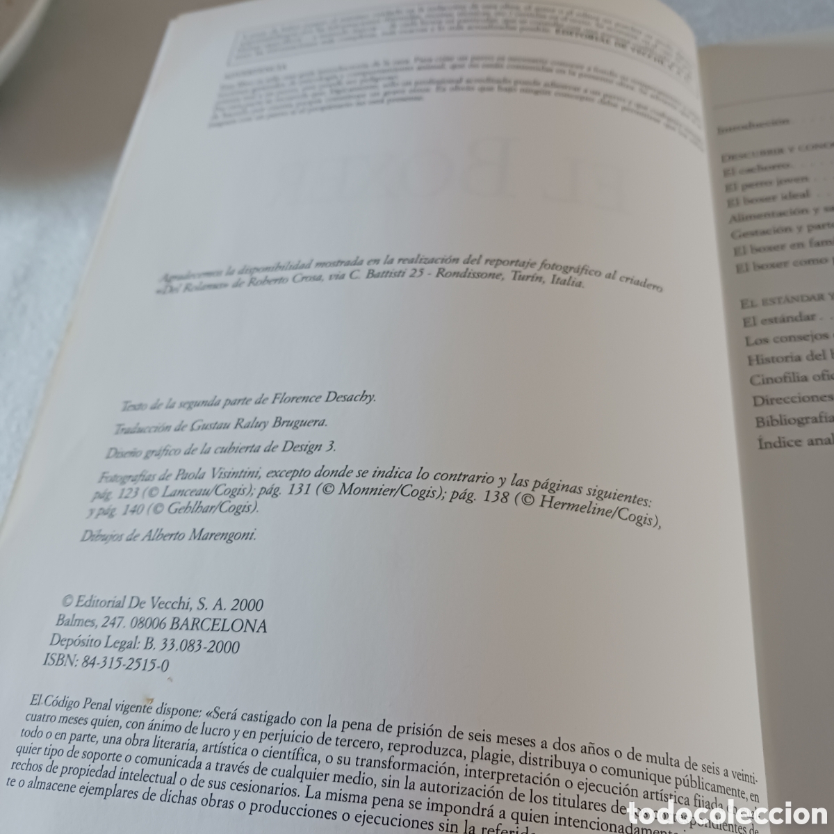 Libros de segunda mano: El B&oacute;xer de V.Rossi (la raza) - Foto 5