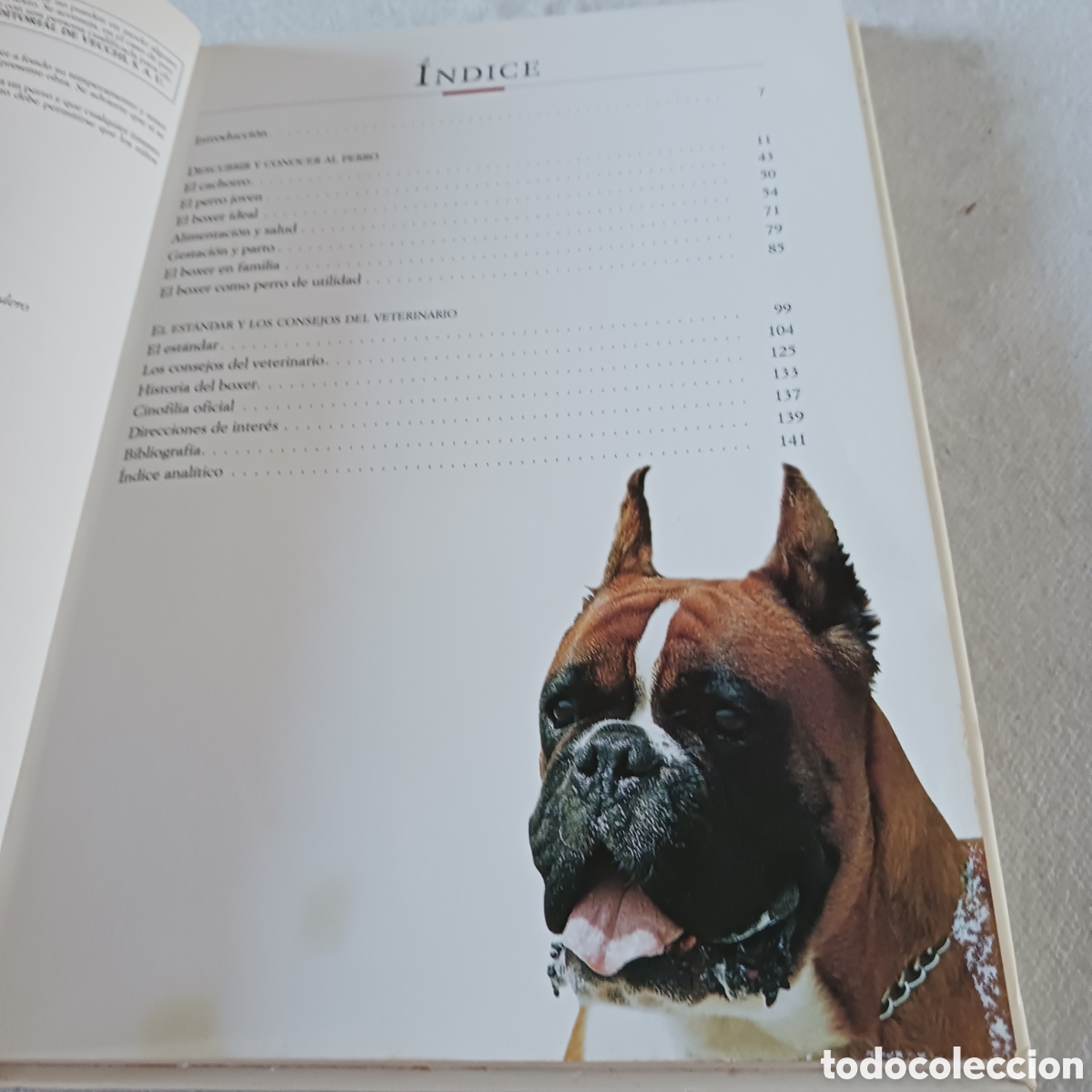 Libros de segunda mano: El B&oacute;xer de V.Rossi (la raza) - Foto 6