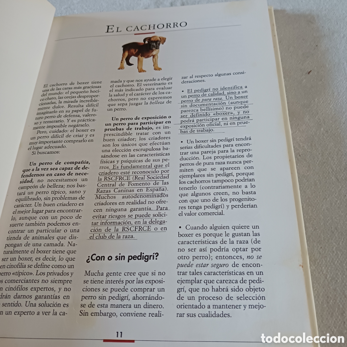 Libros de segunda mano: El B&oacute;xer de V.Rossi (la raza) - Foto 8