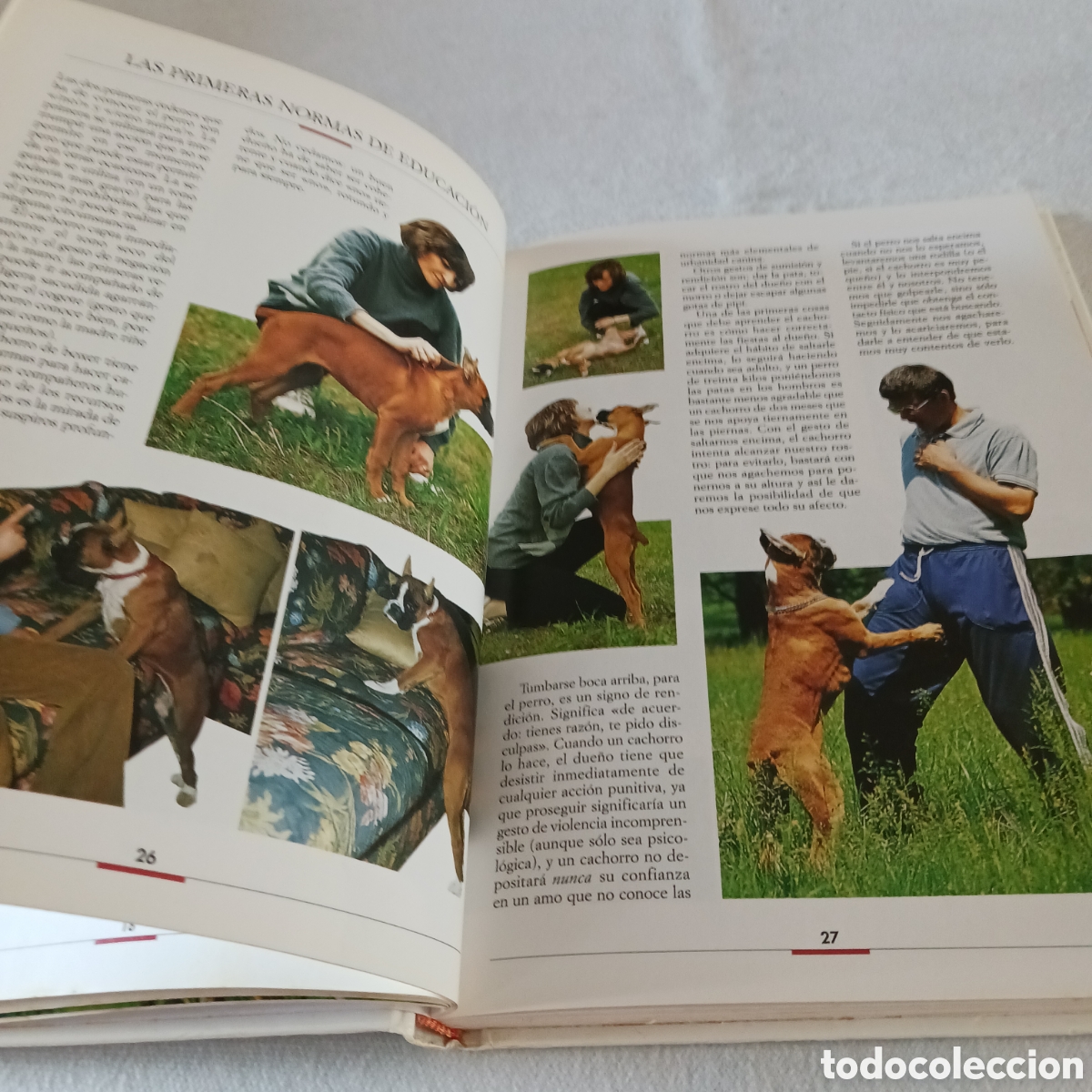 Libros de segunda mano: El B&oacute;xer de V.Rossi (la raza) - Foto 9